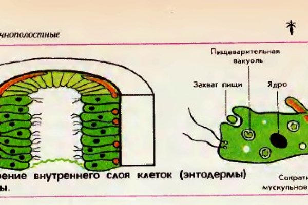 Почему не работает кракен сегодня