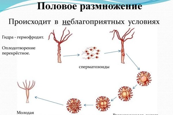 Что такое кракен маркетплейс курительный смесс