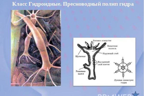 Kraken официальная ссылка