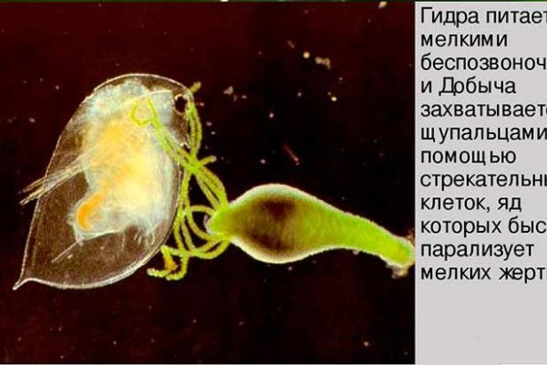 Кракен короткая ссылка