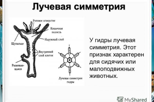 Ссылка на магазин кракен