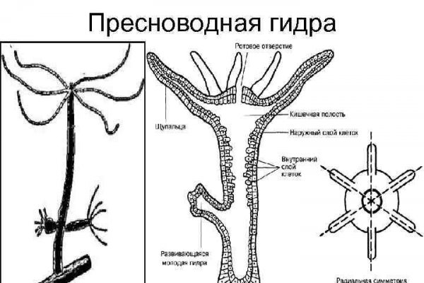 Что продают на кракене