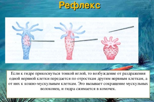 Кракен шоп что это