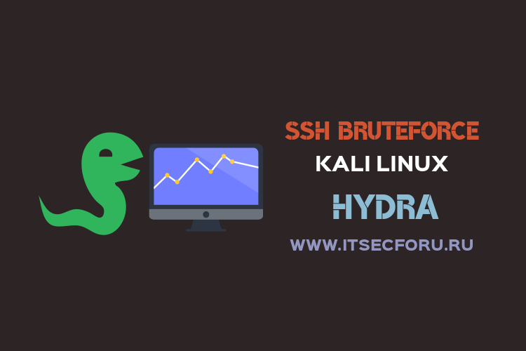 Kraken рынок